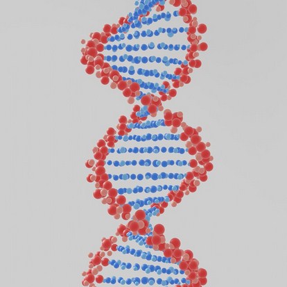 Активация эталонных клеток ДНК