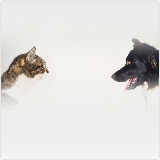 Как убеждать людей и побеждать в спорах