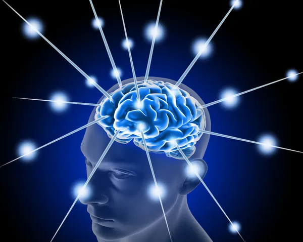 Мозг и нейронауки