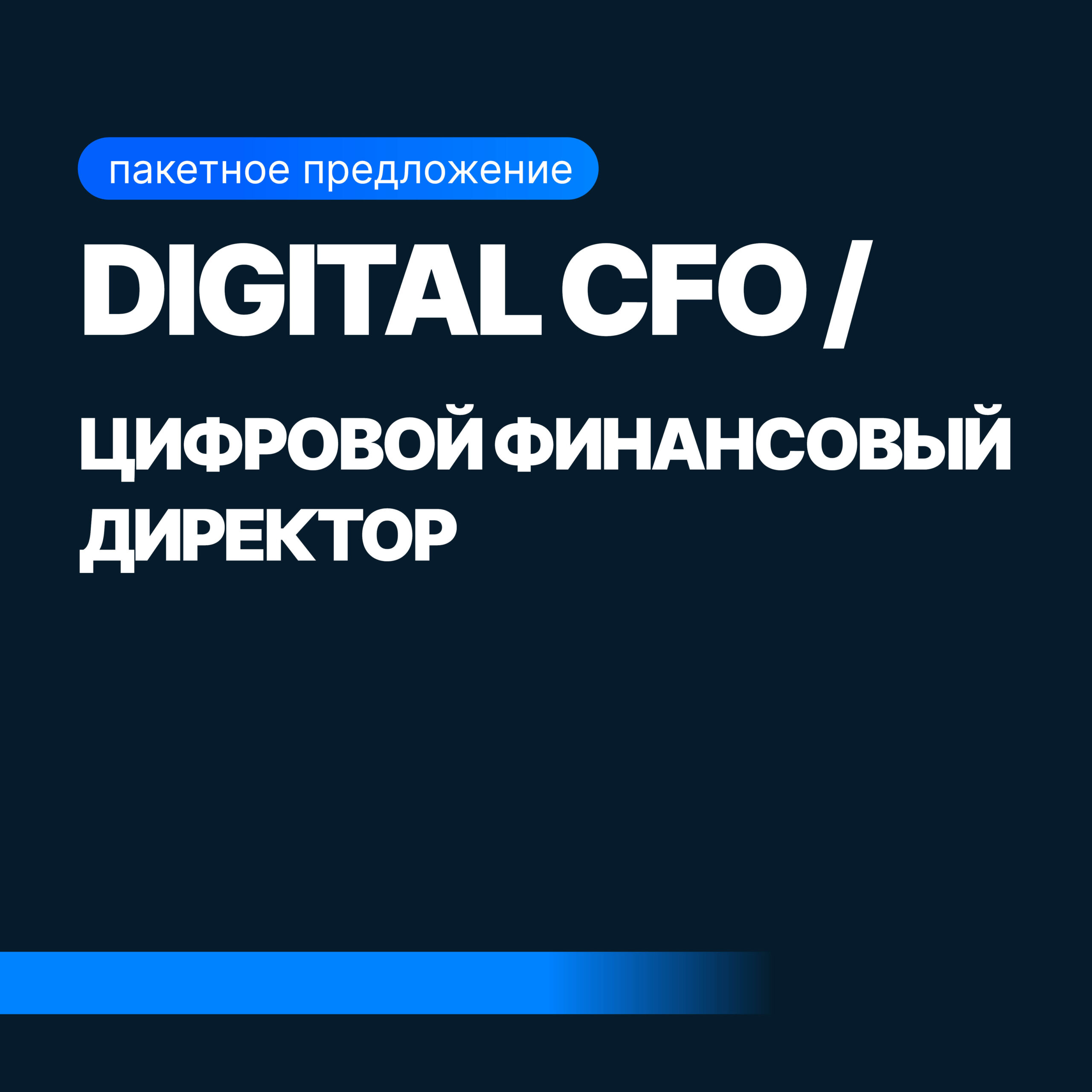 Digital CFO (Финансовый Директор + Бизнес-аналитик)